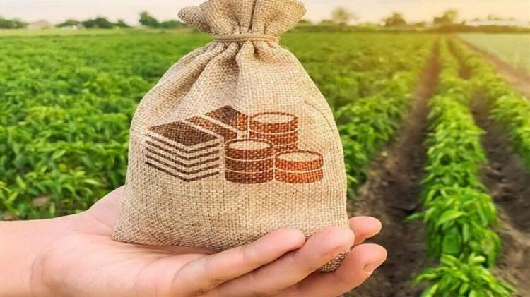 ΥπΑΑΤ: Έντονες αντιδράσεις για την καταβολή των ενισχύσεων, παραίτηση ΔΣ ΟΠΕΚΕΠΕ