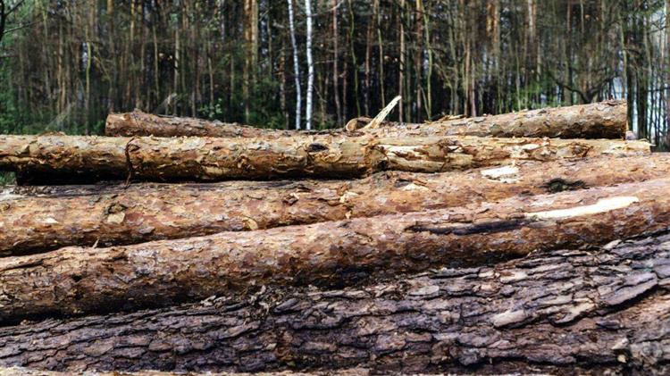 Ξεκινάει άμεσα η κατασκευή αντιδιαβρωτικών και αντιπλημμυρικών έργων