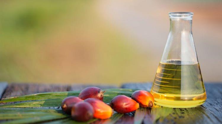 Ινδία: Αυξήθηκαν οι εισαγωγές φοινικέλαιου