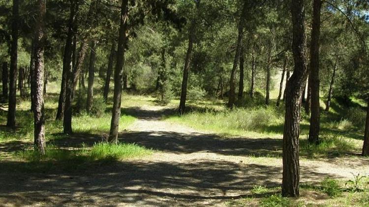 Απαγόρευση κυκλοφορίας σε δασικές εκτάσεις Σέιχ Σου, Ωραιοκάστρου, Πυλαίας - Χορτιάτη και Θέρμης