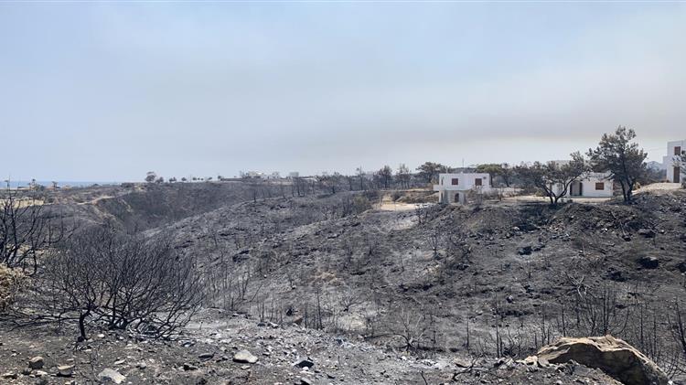 ΕΛΓΑ: Οι αποφάσεις για τις αποζημειώσεις στους πληγέντες παραγωγούς από πυρκαγιές