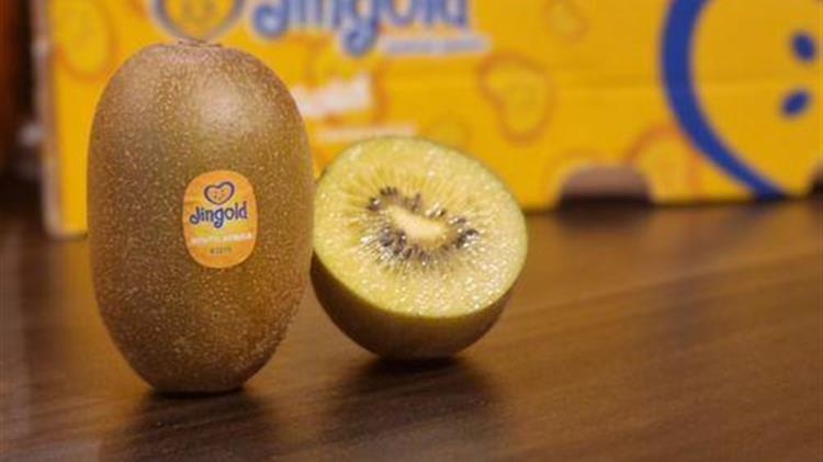 Jingold Greece: Προσοχή στις απομιμήσεις!