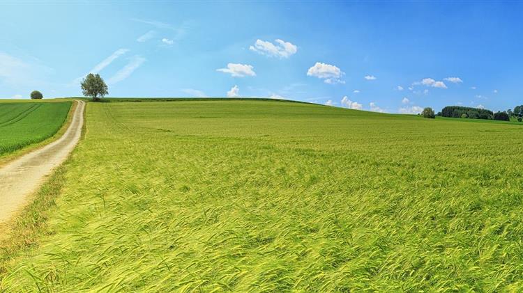 Περιφερειακό Συμβούλιο Πελοποννήσου: Ζητάμε συγκεκριμένη πολιτική για να μην εγκαταλειφθεί η ύπαιθρος