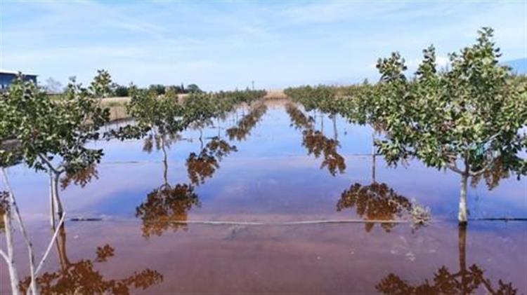 Νέα Αριστερά: «Σε δραματική κατάσταση ο ΕΛΓΑ – Παραμένουν χωρίς αποζημιώσεις οι παραγωγοί»
