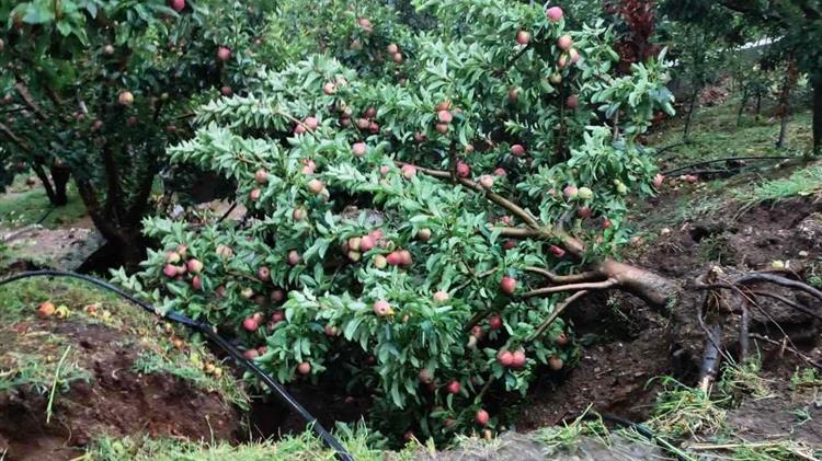 Αγροτικός Συνεταιρισμός ΖΑΓΟΡΙΝ: Κρίνεται η επιβίωση μας
