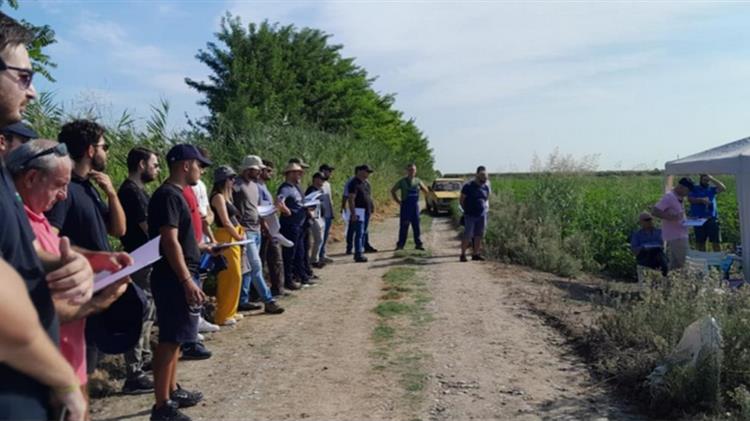 Nέο προϊόν ΚΟΜΦΟΥΖΙΟ από την ANTHESIS για τον έλεγχο του πράσινου σκουληκιού στο βαμβάκι