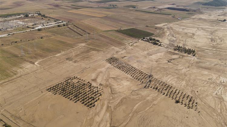Κόκκαλης: Ο ΕΛΓΑ αδικεί τους αγρότες