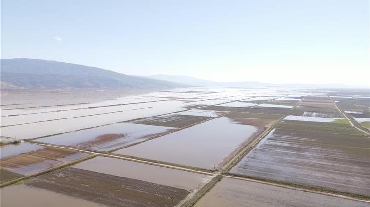 Κόκκαλης σε Αυγενάκη: Διορθώστε άμεσα τον χάρτη των πλημμυρισμένων χωραφιών, αποκαταστήστε τις αδικίες!