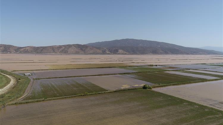 Δήμος Τρικκαίων: Τριπλή στήριξη στους πλημμυροπαθείς αγρότες