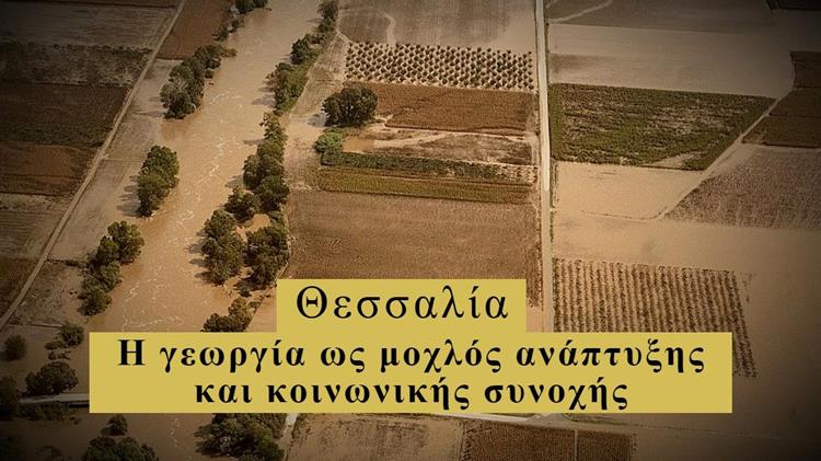 "Πλημμύρες στη Θεσσαλία: Η επίδραση στην οικονομία και η ανάγκη για πρόληψη"