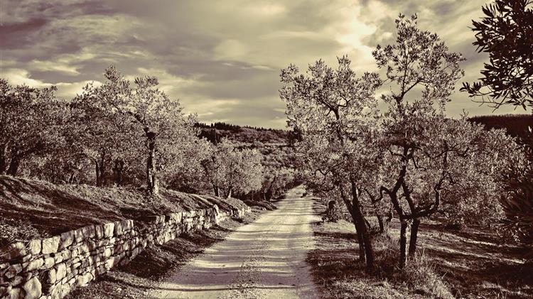 Η εξέλιξη των βιοκαλλιεργούμενων εκτάσεων στην Ελλάδα