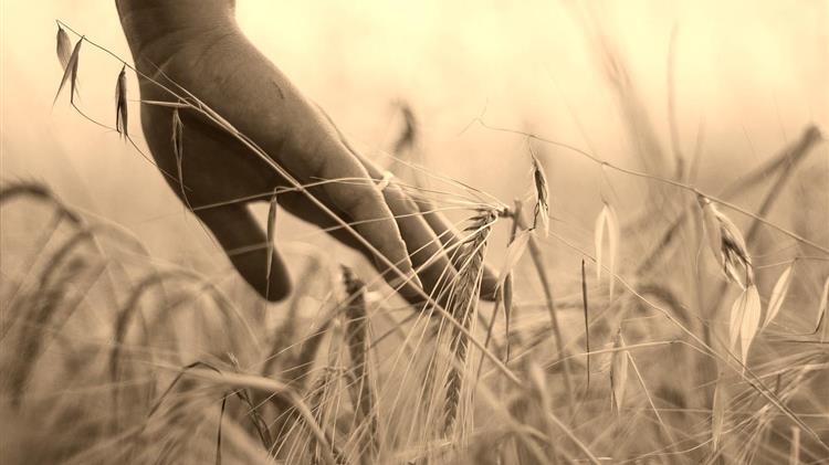 ΟΗΕ: Η Ρωσία κερδίζει τη μάχη για την άρση των κυρώσεων