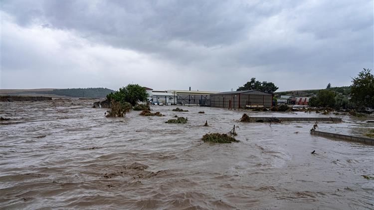 Ν. Δαναλάτος: Δεν έχει «πεθάνει» ο Θεσσαλικός κάμπος