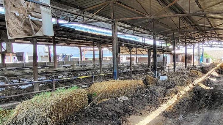 Μέτρα ανακούφισης για κτηνοτρόφους Θεσσαλίας - Θράκης