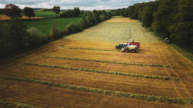 Holstein: Η αναλογία και η πεπτικότητα της ενσίρωσης τριφυλλιού επηρεάζουν τη σύνθεση του γάλακτος