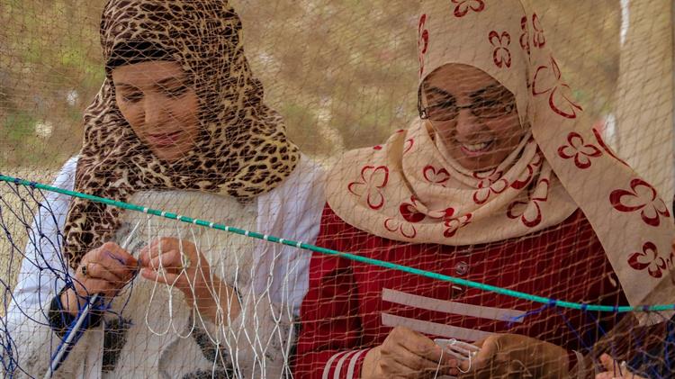 Small-scale fishers and fish workers in the Mediterranean and the Black Sea