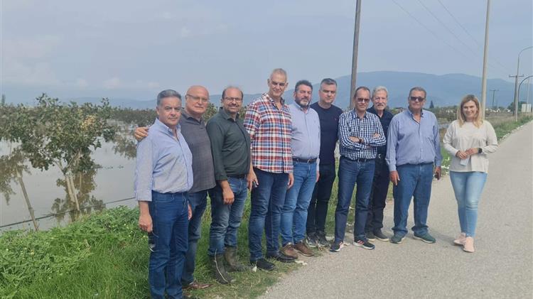 Θεσσαλία: Αισιοδοξία επιστημόνων για τη γονιμότητα των εδαφών