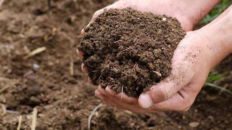 Βιοδιεγέρτες: Οικονομική επισκόπηση της Ευρωπαϊκή αγορά