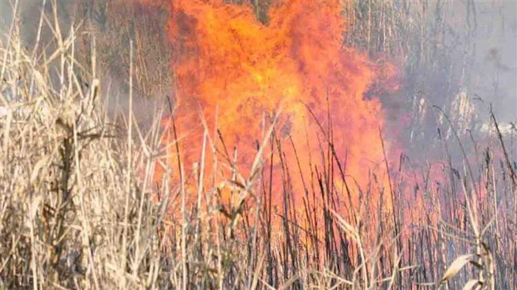 Γρεβενά: Καύση καλαμιών