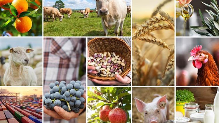 Οι γεωργοί της ΕΕ συνεχίζουν την παραγωγή παρά τα δυσμενή καιρικά φαινόμενα