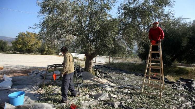 Αγροτικοί Σύλλογοι: Η τροπολογία για τους παράτυπα διαμένοντες είναι ανεπαρκής