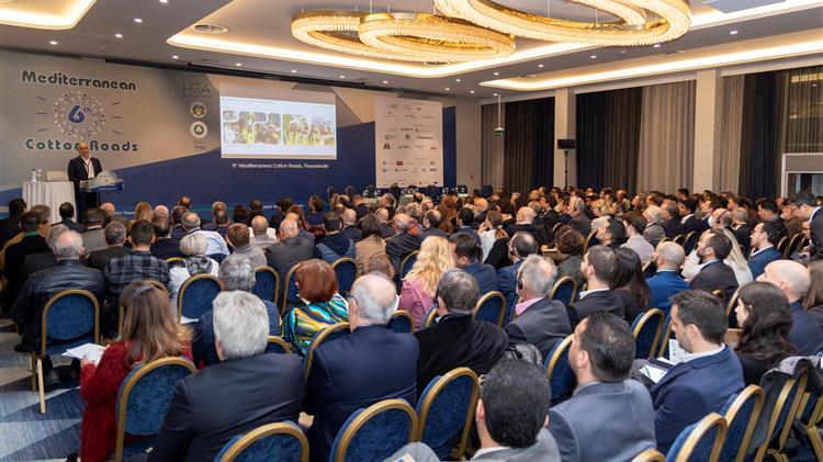 Μεσογειακοί Δρόμοι Βαμβακιού: Η επίδραση της κλιματικής αλλαγής και της αστάθειας στην αγορά