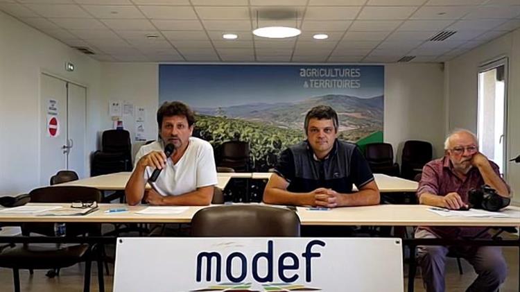 Χωρίς ελάχιστες τιμές στους οίνους, διαμορφώνεται «τοπίο κοινωνικής καταστροφής στην αμπελουργία»