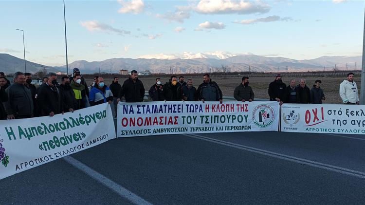 Τύρναβος: Σύσκεψη για τον Περονόσπορο στα αμπελοοινικά προϊόντα