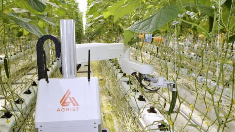 Ιαπωνία: Αύξηση της χρήσης ρομπότ με τεχνητή νοημοσύνη στη γεωργία