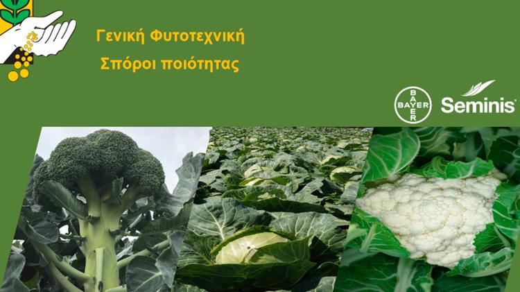 Ενημέρωση για εκδήλωση της Γενικής Φυτοτεχνικής Αθηνών ΑΕΒΕ