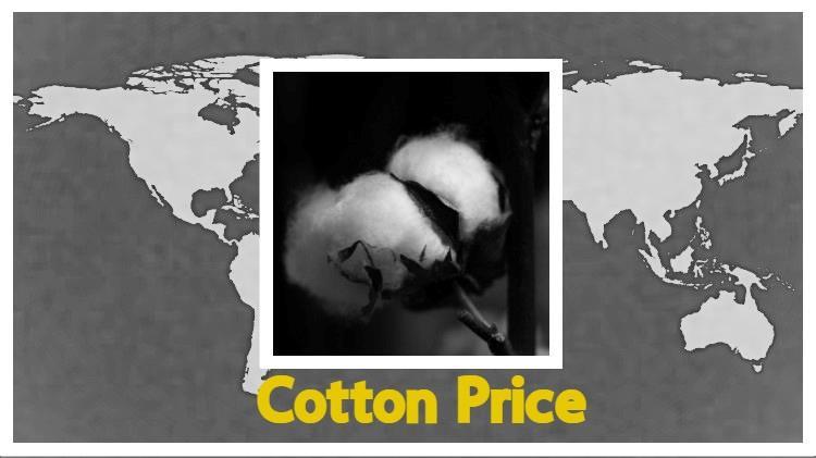 Βαμβάκι: Η ζήτηση τροφοδοτεί υψηλές τιμές