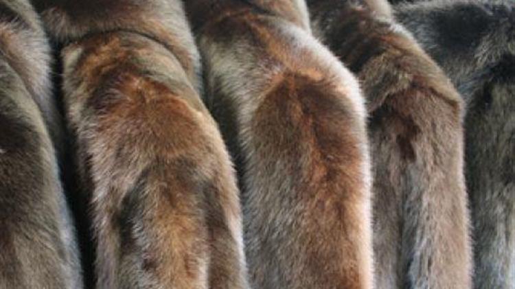 Νέα προθεσμία για αναστολές συμβάσεων στον κλάδο της γουνοποιίας