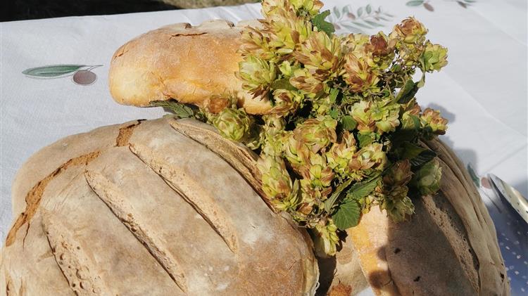 Τεράστια επιτυχία σημείωσε το 14ο Φεστιβάλ Τοπικών Προϊόντων στο Καρυδοχώρι!