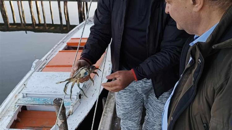 Στ.Κελέτσης: Προχωράμε με στρατηγική και συγκεκριμένες δράσεις για βιώσιμη και σύγχρονη αλιεία και υδατοκαλλιέργεια