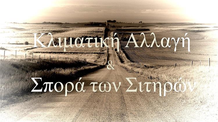 Ξηρασία στα σιτηρά: Πώς να αντιμετωπίσετε την κλιματική αλλαγή και να προστατεύσετε τις σοδειές σας