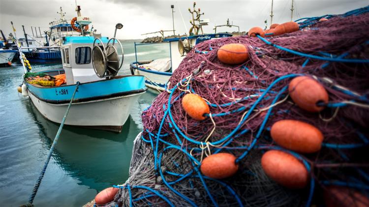 FAO-GFCM: New Mediterranean and Black Sea fishing gear catalogue: a milestone for fisheries management