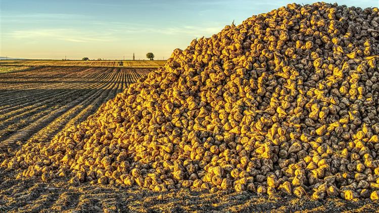 Βουτιά στις τιμές της ζάχαρης λόγω βροχών στη Βραζιλία