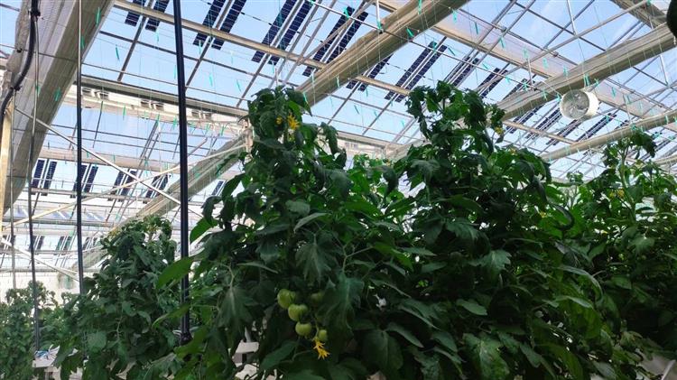 Το θερμοκήπιο του μέλλοντος είναι εδώ, και είναι οικολογικό, αυτόνομο και αποδοτικό