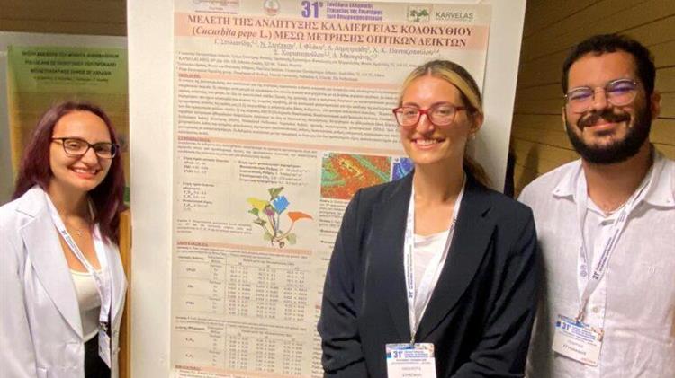 Η συμβολή του FYTOAMINO – Bo στην ενίσχυση της απόδοσης των καρπών κολοκυθιάς