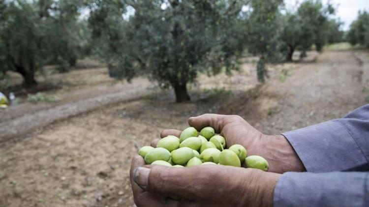 ΟΠΕΚΕΠΕ: Έγκριση διενέργειας διαγωνισμού για την παροχή υπηρεσιών τεχνικής υποστήριξης