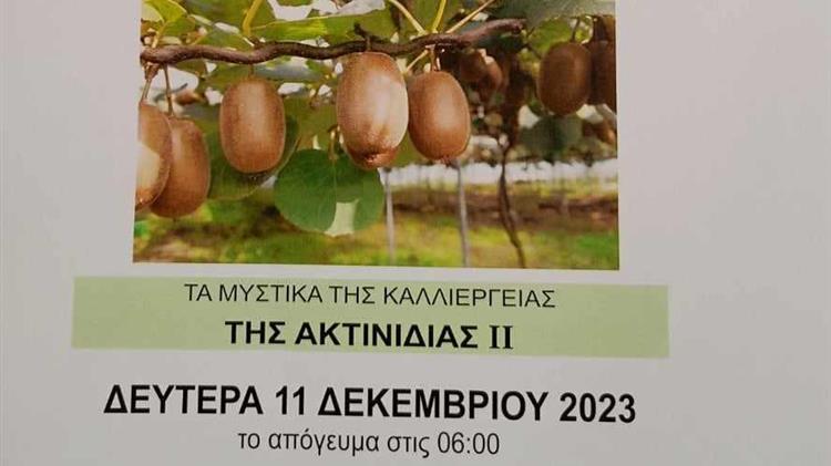 Ενημερωτική εκδήλωση για τους ακτινιδιοπαραγωγούς της Πιερίας