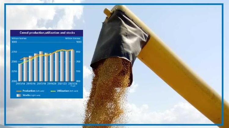 Παγκόσμια παραγωγή δημητριακών: Η αυξανόμενη ζήτηση ασκεί πίεση στα αποθέματα