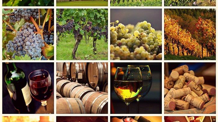 Γαλλία: Το νέο στρατηγικό σχέδιο για την οινοποιία