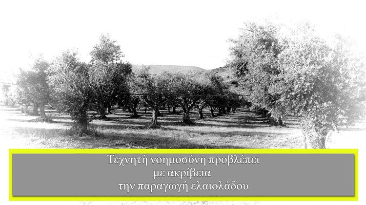 Τεχνητή νοημοσύνη προβλέπει με ακρίβεια την παραγωγή ελαιολάδου