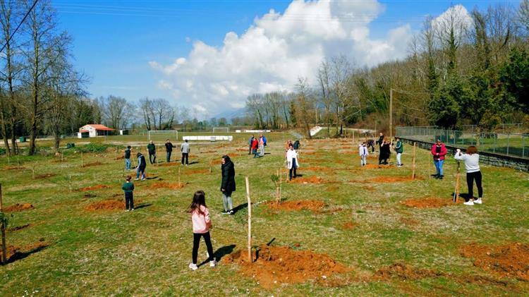 ΚΕΠΑ: Χορηγία δένδρων από τη Hellenic Plants στην Πρωτοβουλία "75 UN - 75 Trees UNAI SDG7"