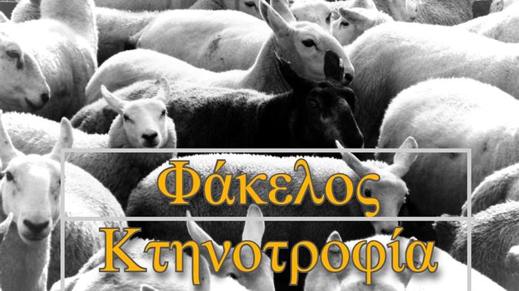 Κτηνοτροφία: Μείωση κοπαδιών και εγκατάλειψη επαγγέλματος στην Ελλάδα και τη Γερμανία