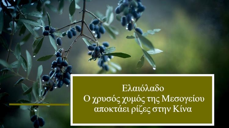 Ελαιόλαδο: Ο χρυσός χυμός της Μεσογείου αποκτάει ρίζες στην Κίνα