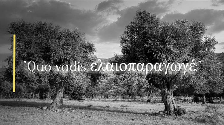 "Quo vadis ελαιοπαραγωγέ;"