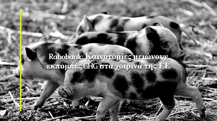 Rabobank: Καινοτομίες μειώνουν εκπομπές αερίων του θερμοκηπίου στα χοιρινά της ΕΕ