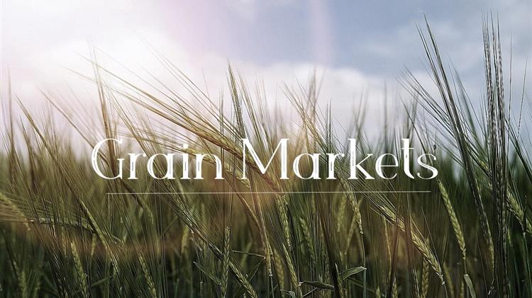 Αλγερία: Αγοράζει 600.000 τόνους σιταριού